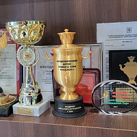 Золотистый именной кубок среди спортивных наград.